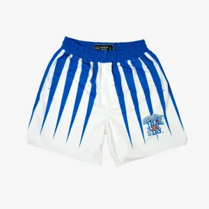 Kentucky Wildcats 1994-1995 Retro Shorts (Home)